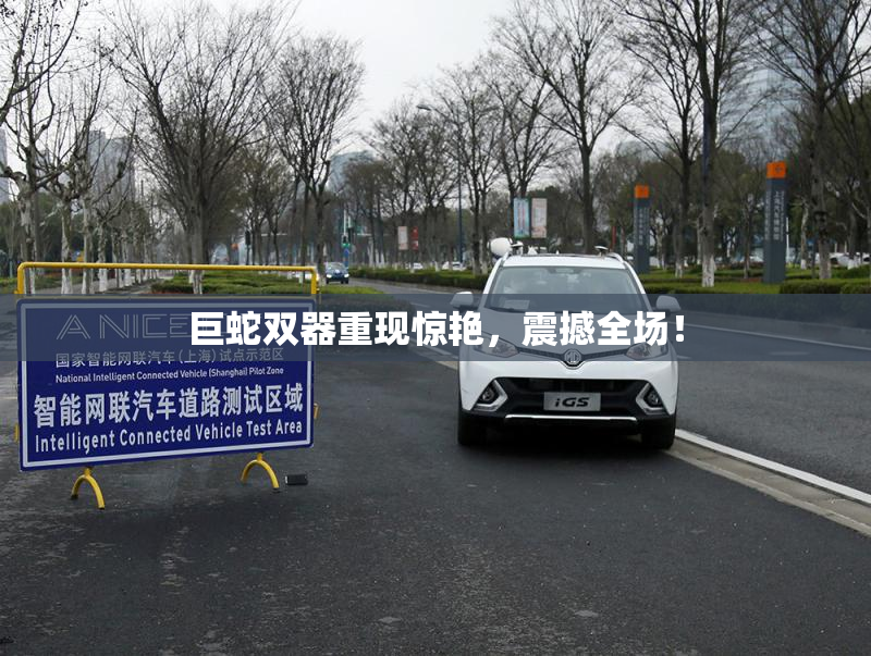 巨蛇双器重现惊艳，震撼全场！
