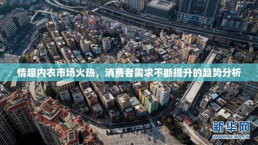 情趣内衣市场火热，消费者需求不断提升的趋势分析