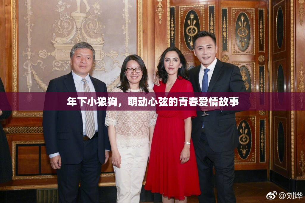 年下小狼狗，萌动心弦的青春爱情故事