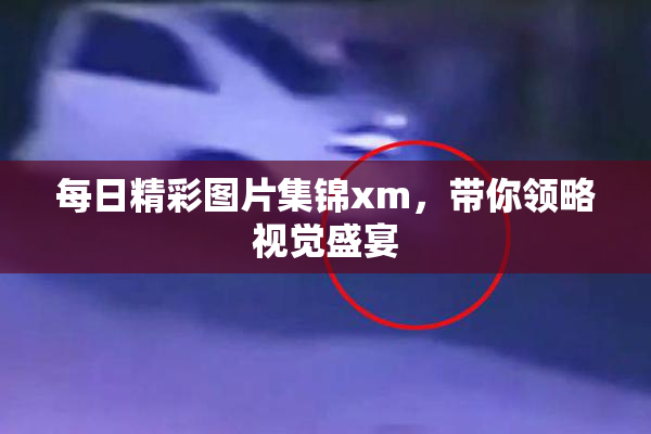 每日精彩图片集锦xm，带你领略视觉盛宴