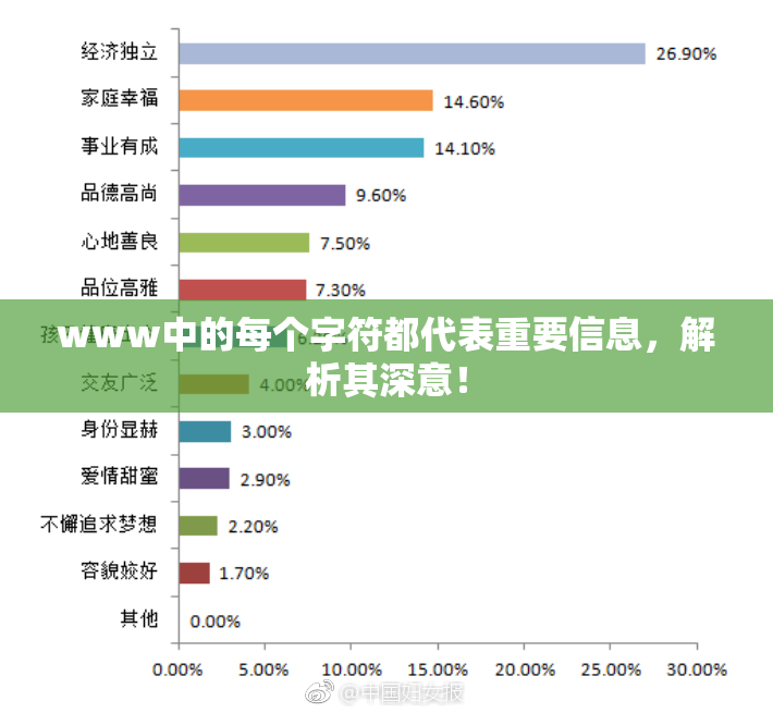 www中的每个字符都代表重要信息，解析其深意！