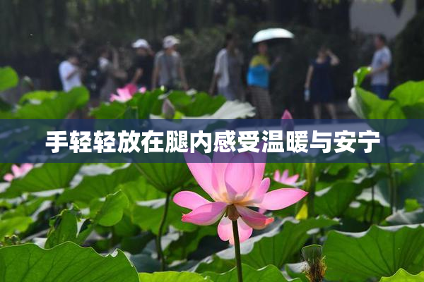 手轻轻放在腿内感受温暖与安宁