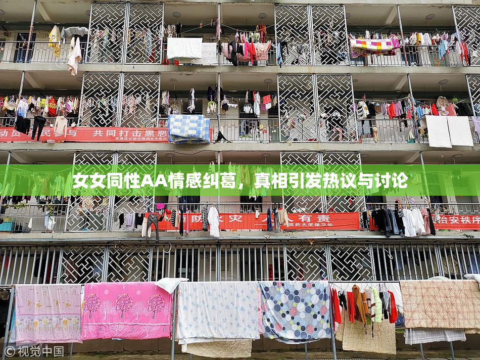 女女同性AA情感纠葛，真相引发热议与讨论