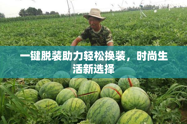 一键脱装助力轻松换装，时尚生活新选择