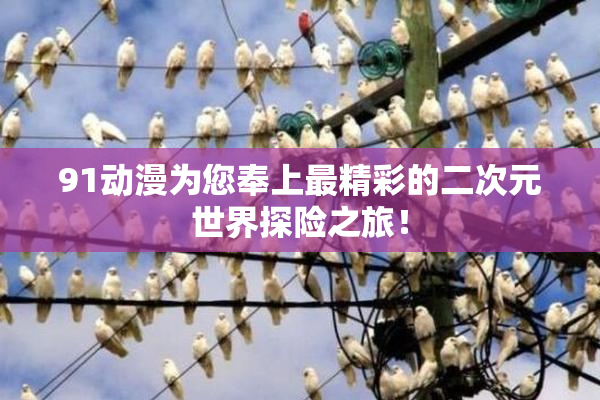 91动漫为您奉上最精彩的二次元世界探险之旅！