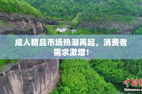 成人精品市场热潮再起，消费者需求激增！