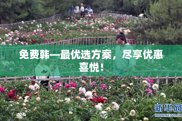 免费韩—最优选方案，尽享优惠喜悦！