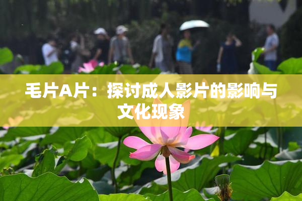 毛片A片：探讨成人影片的影响与文化现象