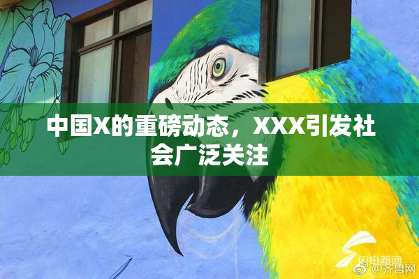 中国X的重磅动态，XXX引发社会广泛关注