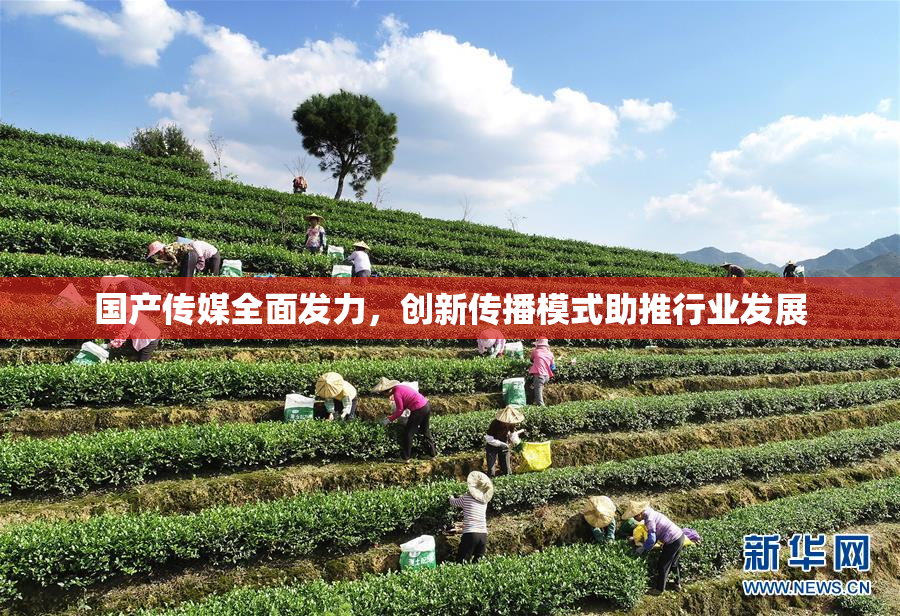 国产传媒全面发力，创新传播模式助推行业发展