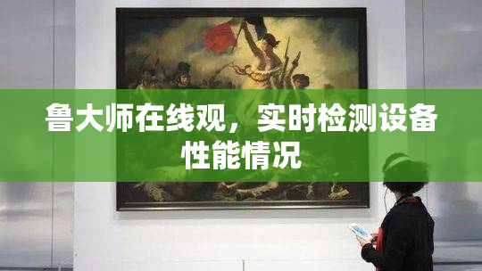 鲁大师在线观，实时检测设备性能情况