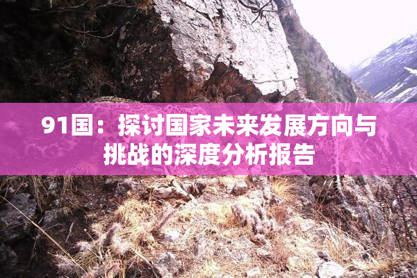 91国：探讨国家未来发展方向与挑战的深度分析报告
