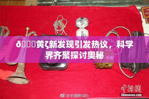 🔞黄ζ新发现引发热议，科学界齐聚探讨奥秘