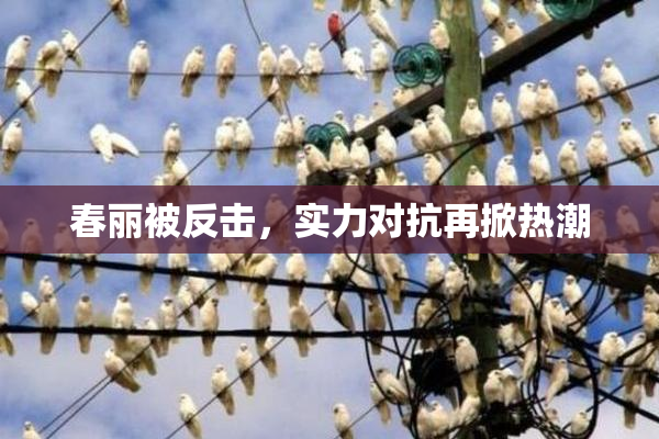 春丽被反击，实力对抗再掀热潮