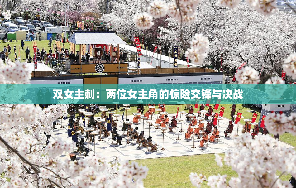 双女主刺：两位女主角的惊险交锋与决战