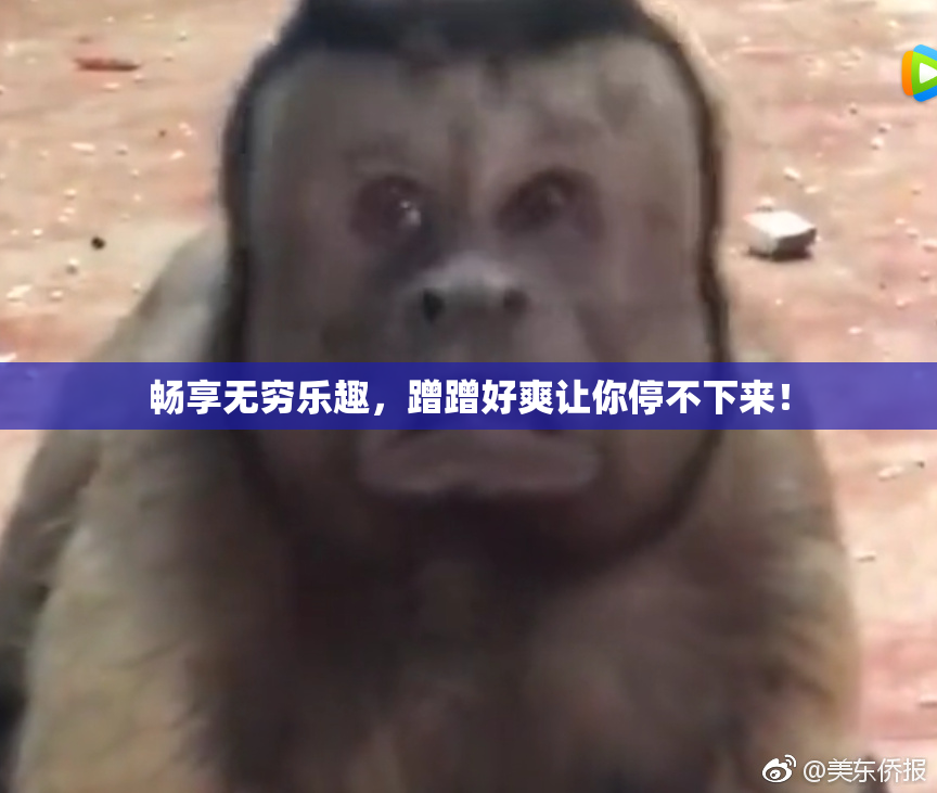 畅享无穷乐趣，蹭蹭好爽让你停不下来！
