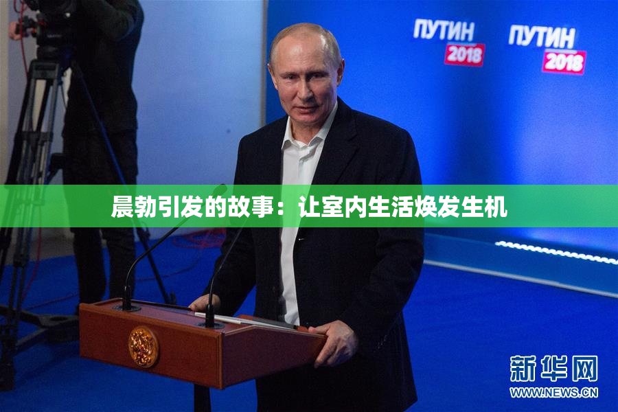 晨勃引发的故事：让室内生活焕发生机