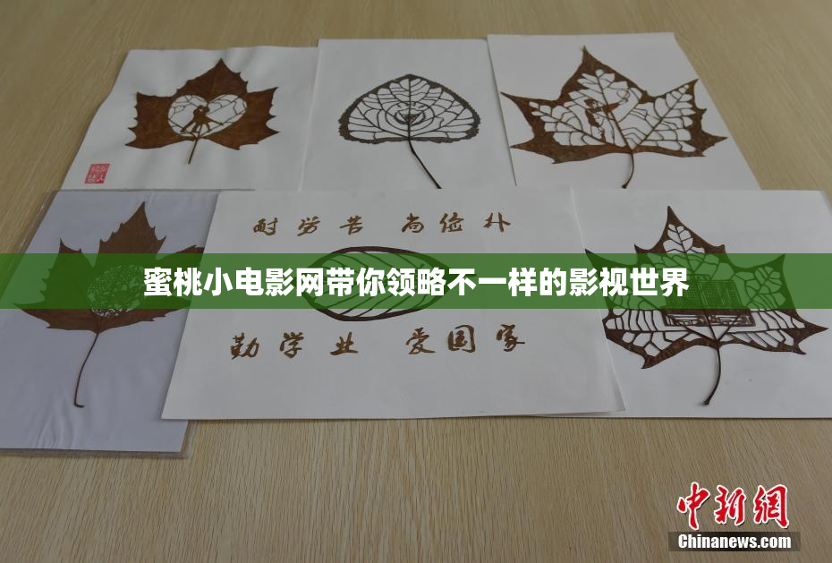 蜜桃小电影网带你领略不一样的影视世界