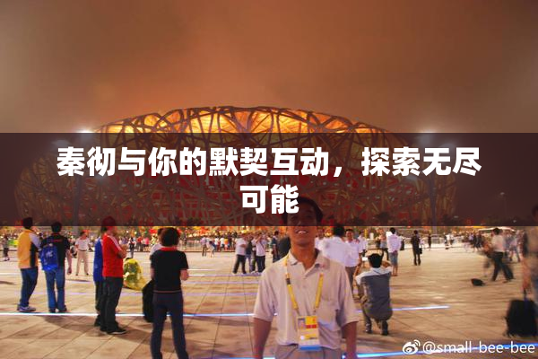 秦彻与你的默契互动，探索无尽可能