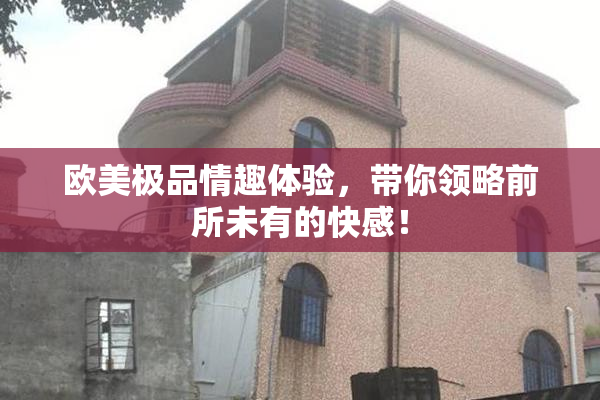 欧美极品情趣体验，带你领略前所未有的快感！