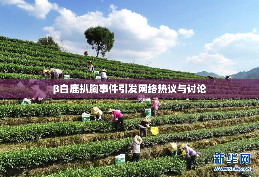 β白鹿扒胸事件引发网络热议与讨论