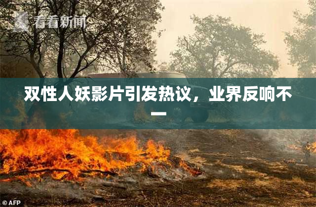 双性人妖影片引发热议，业界反响不一
