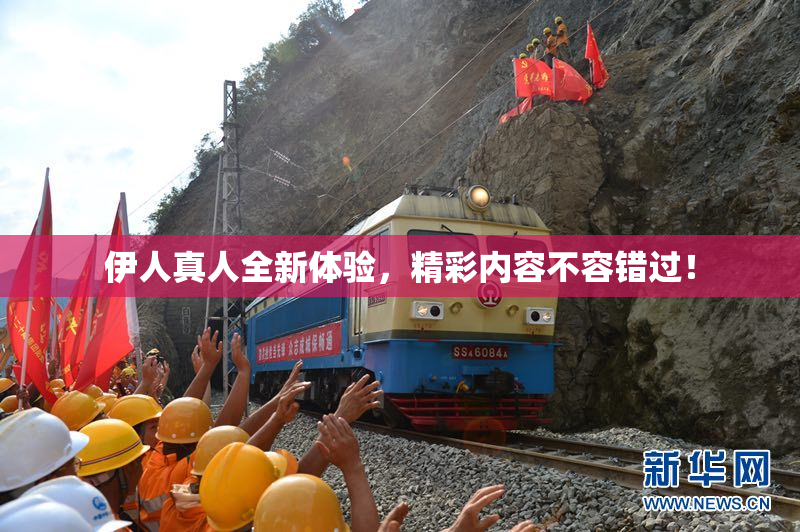 伊人真人全新体验，精彩内容不容错过！