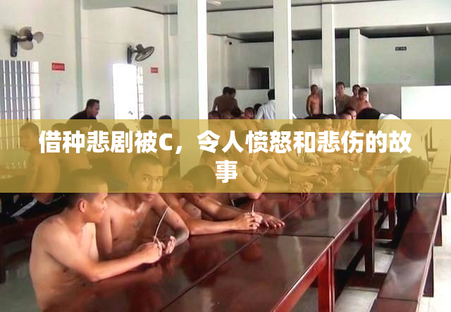 借种悲剧被C，令人愤怒和悲伤的故事