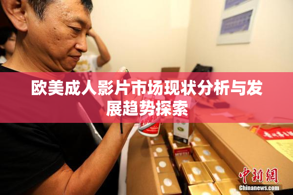 欧美成人影片市场现状分析与发展趋势探索