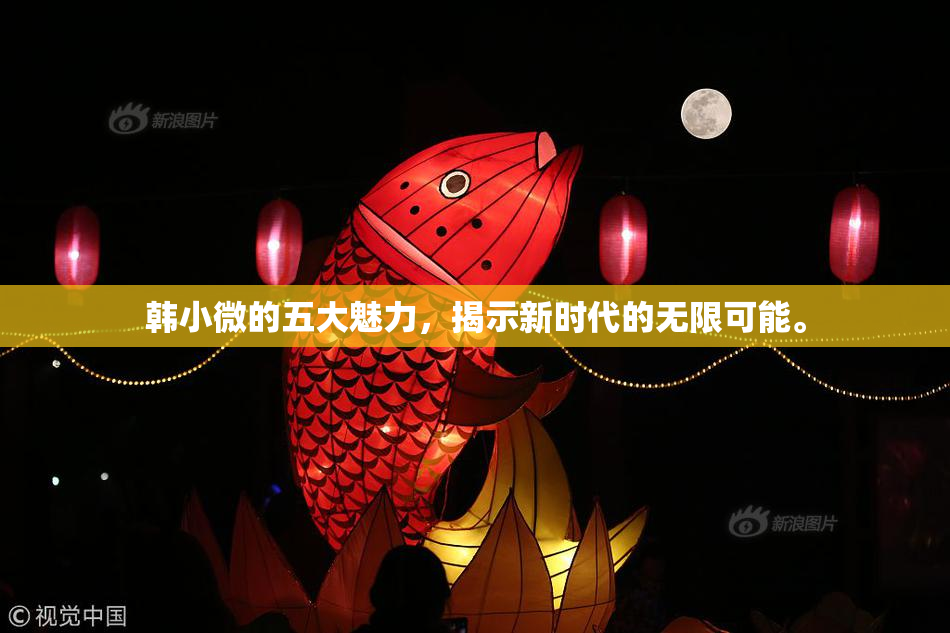 韩小微的五大魅力，揭示新时代的无限可能。