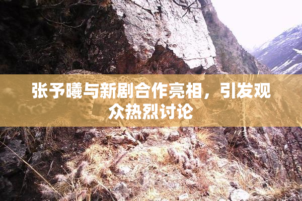 张予曦与新剧合作亮相，引发观众热烈讨论