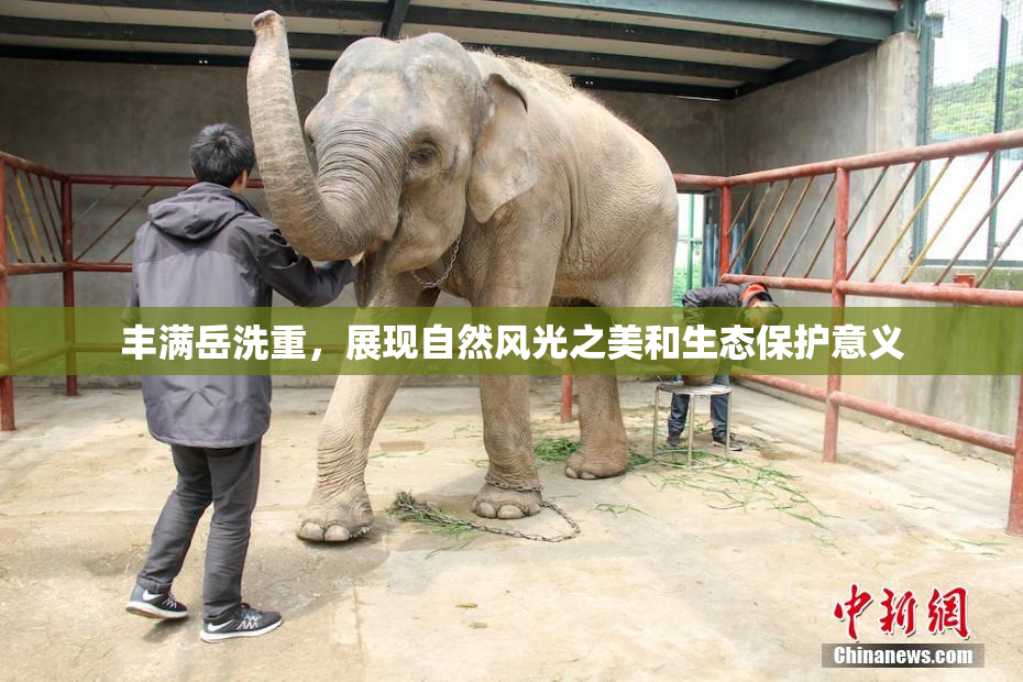 丰满岳洗重，展现自然风光之美和生态保护意义