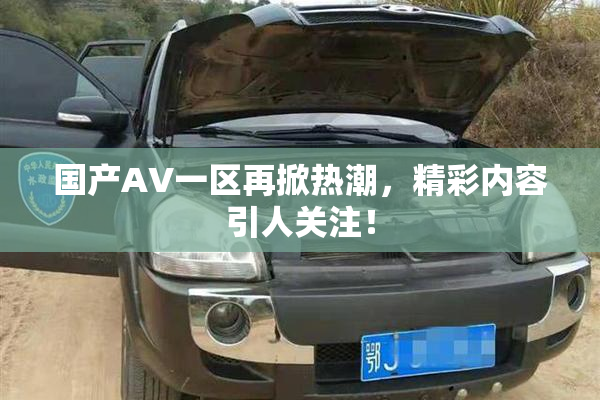 国产AV一区再掀热潮，精彩内容引人关注！