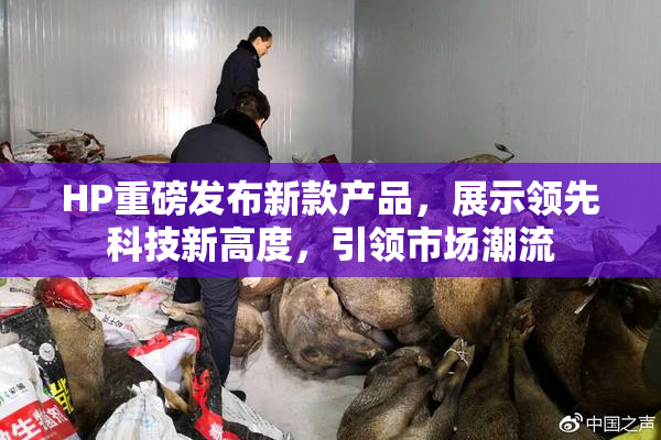 HP重磅发布新款产品，展示领先科技新高度，引领市场潮流