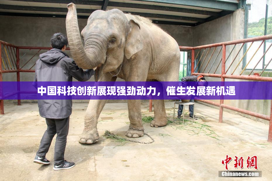 中国科技创新展现强劲动力，催生发展新机遇