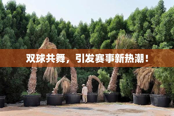 双球共舞，引发赛事新热潮！