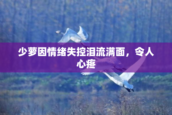 少萝因情绪失控泪流满面，令人心疼