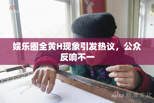 娱乐圈全黄H现象引发热议，公众反响不一