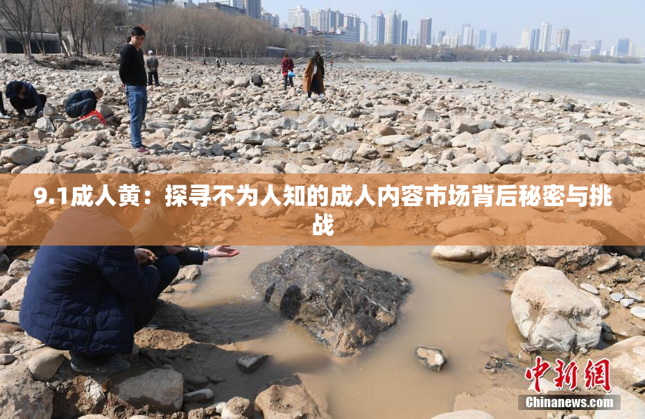 9.1成人黄：探寻不为人知的成人内容市场背后秘密与挑战