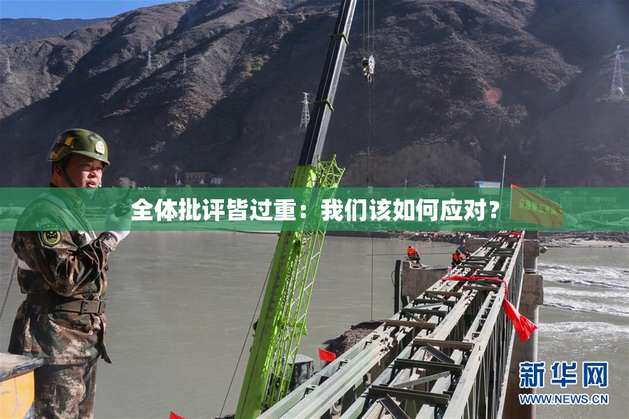 全体批评皆过重：我们该如何应对？