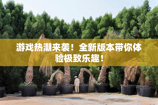 游戏热潮来袭！全新版本带你体验极致乐趣！