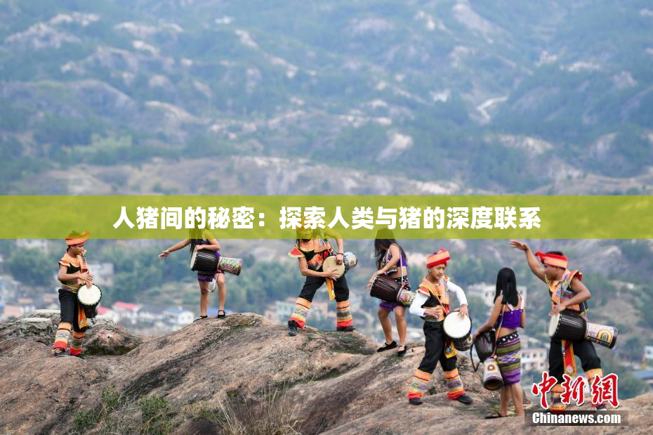 人猪间的秘密：探索人类与猪的深度联系