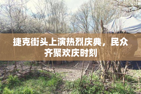 捷克街头上演热烈庆典，民众齐聚欢庆时刻