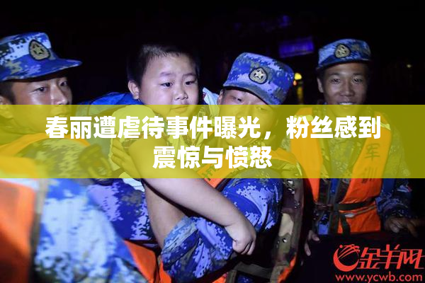 春丽遭虐待事件曝光，粉丝感到震惊与愤怒