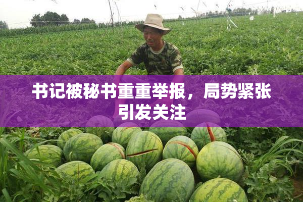 书记被秘书重重举报，局势紧张引发关注