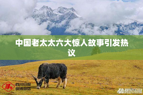 中国老太太六大惊人故事引发热议