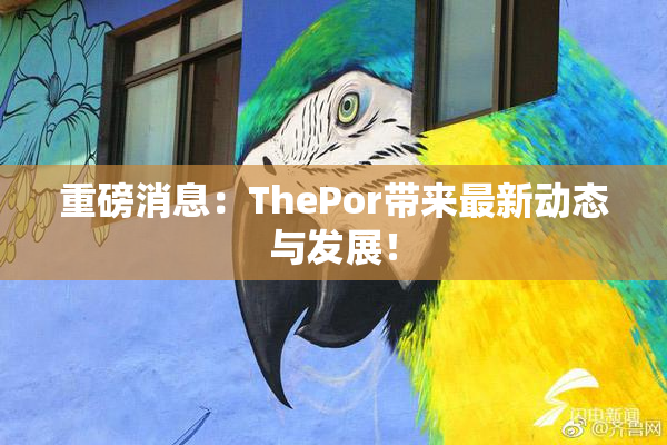 重磅消息：ThePor带来最新动态与发展！