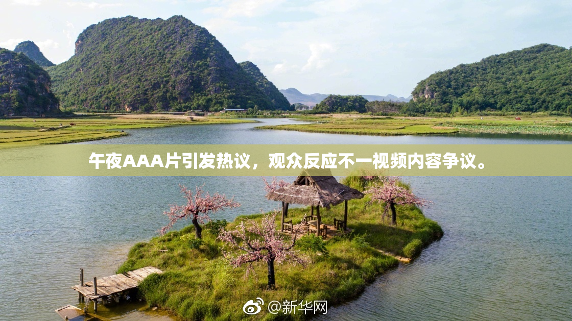 午夜AAA片引发热议，观众反应不一视频内容争议。