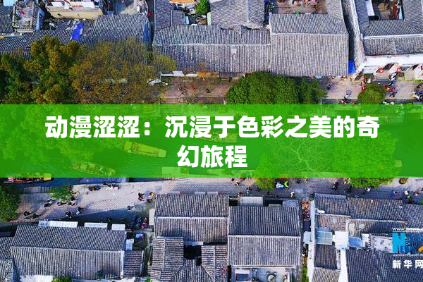 动漫涩涩：沉浸于色彩之美的奇幻旅程