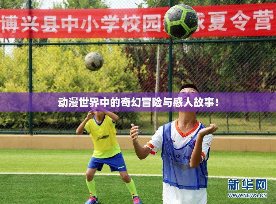 动漫世界中的奇幻冒险与感人故事！